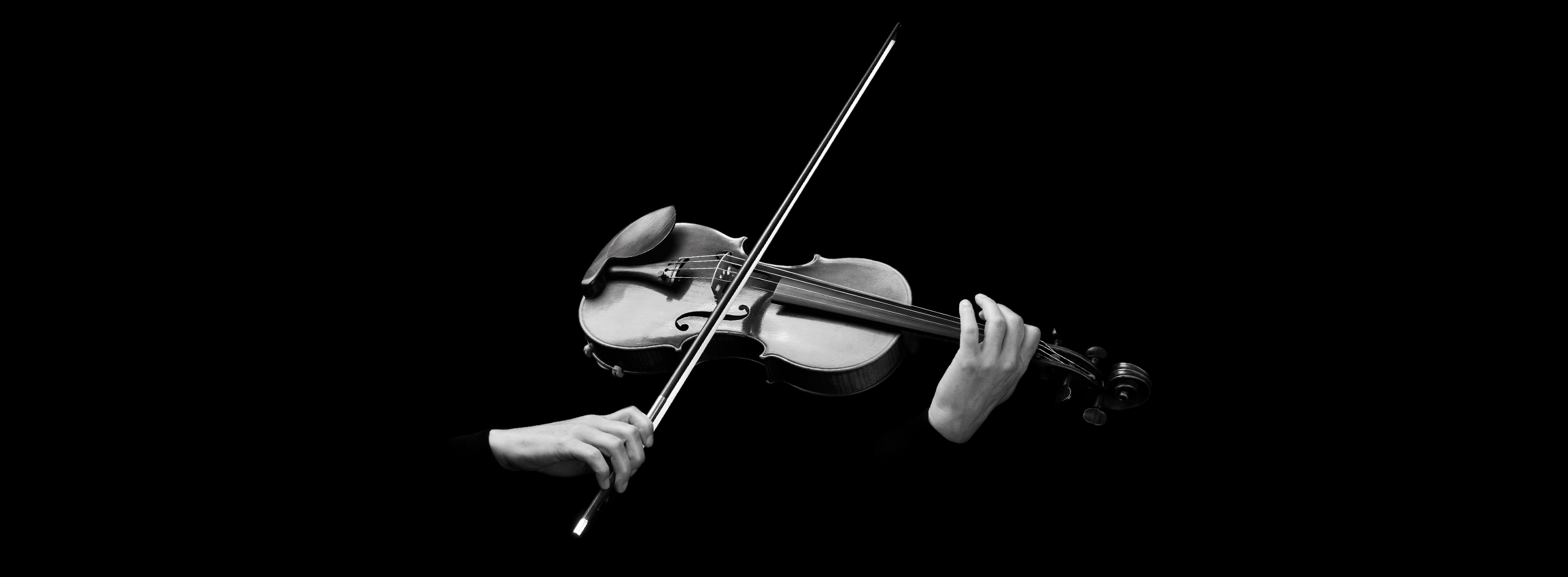imusici_carrousel_violon